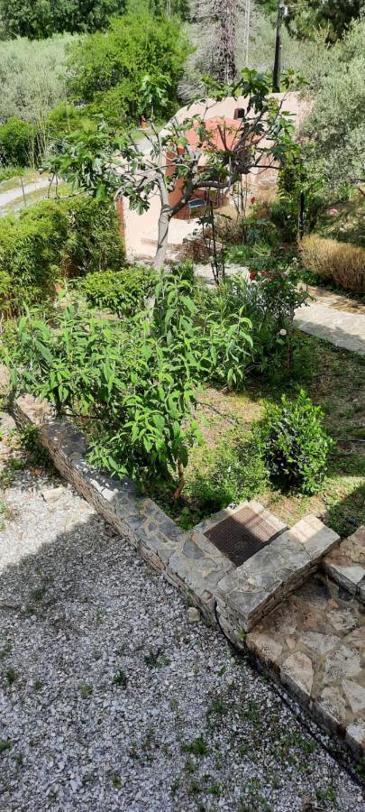 Maison Provence Avec Piscine Privative Nyons Zewnętrze zdjęcie